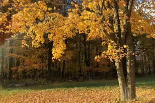 5057 N Bailey Rd, Coral, MI 49322 - Photo 30