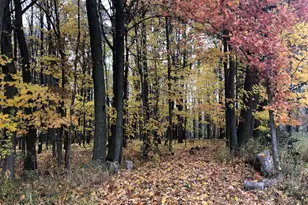 5057 N Bailey Rd, Coral, MI 49322 - Photo 32