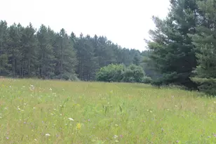 2838 W Trask Lake Rd, Barton City, MI 48705 - Photo 52