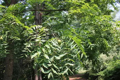 2838 W Trask Lake Rd, Barton City, MI 48705 - Photo 40