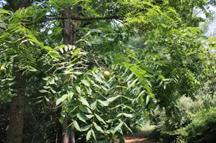 2838 W Trask Lake Rd, Barton City, MI 48705 - Photo 40