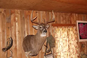 2838 W Trask Lake Rd, Barton City, MI 48705 - Photo 18