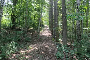 2838 W Trask Lake Rd, Barton City, MI 48705 - Photo 34