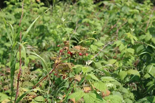 2838 W Trask Lake Rd, Barton City, MI 48705 - Photo 36