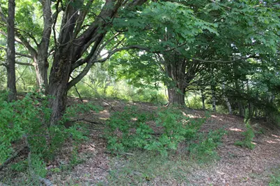 2838 W Trask Lake Rd, Barton City, MI 48705 - Photo 38