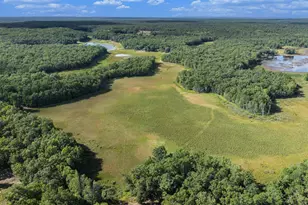 2715 W 13 Mile Rd, Bitely, MI 49309 - Photo 38