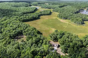 2715 W 13 Mile Rd, Bitely, MI 49309 - Photo 44