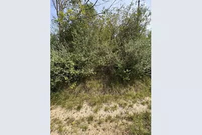 Lot 519 & 520 Lake Miramachi, Evart, MI 49631 - Photo 4