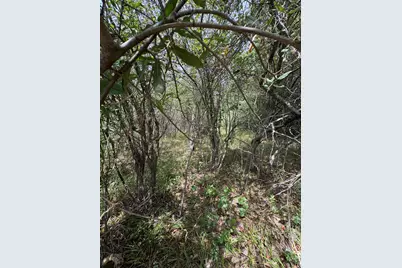 Lot 519 & 520 Lake Miramachi, Evart, MI 49631 - Photo 1