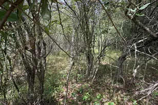 Lot 519 & 520 Lake Miramachi, Evart, MI 49631 - Photo 1