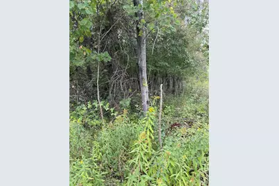 Lot455,456 Coocpa- Lake Miramachi, Evart, MI 49631 - Photo 6