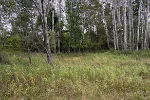 Lot455 456 Coocpa- Lake Miramachi, Evart, MI 49631 - Photo 1