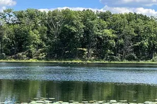 5007 S 42nd St, Climax, MI 49034 - Photo 16