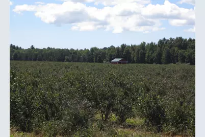 1997 E Townline Road, Free Soil, MI 49411 - Photo 34