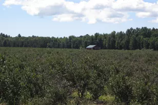 1997 E Townline Rd, Free Soil, MI 49411 - Photo 34