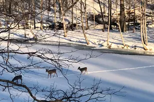 7205 60th St SE, Grand Rapids, MI 49512 - Photo 10