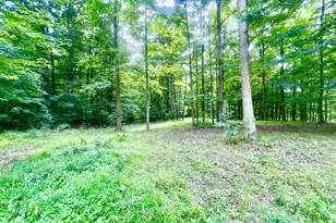 2201 S Sand Lake Rd, Hillsdale, MI 49242 - Photo 12