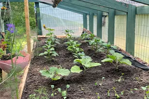 1255 E Chickadee Ln, Luther, MI 49656 - Photo 18