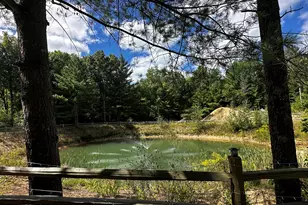 1255 E Chickadee Ln, Luther, MI 49656 - Photo 12