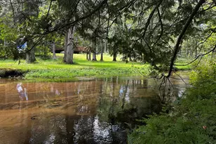 1255 E Chickadee Ln, Luther, MI 49656 - Photo 14