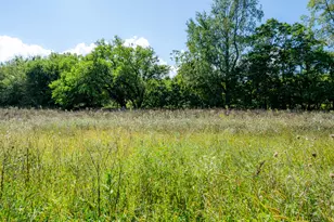 13228 Dutch Settlement Rd, Marcellus, MI 49067 - Photo 14