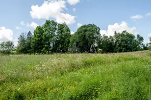 13228 Dutch Settlement Rd, Marcellus, MI 49067 - Photo 12