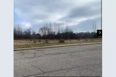 Vl W Washington Street, Greenville, MI 48838 - Photo 4