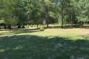 7658 N Johnson Rd, Irons, MI 49644 - Photo 10