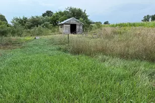 8356 E Loop Rd, Hesperia, MI 49421 - Photo 6