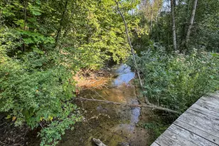 1609 S Sage Lake Rd, Hale, MI 48739 - Photo 40