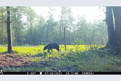 1609 S Sage Lake Road, Hale, MI 48739 - Photo 146