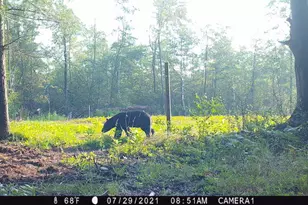 1609 S Sage Lake Rd, Hale, MI 48739 - Photo 146