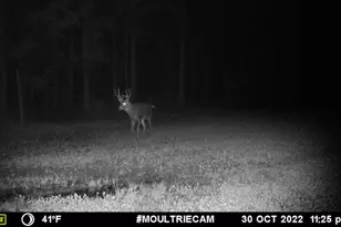 1609 S Sage Lake Rd, Hale, MI 48739 - Photo 154