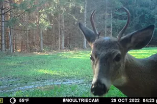 1609 S Sage Lake Rd, Hale, MI 48739 - Photo 150