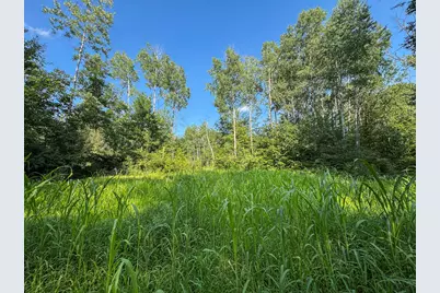 1609 S Sage Lake Road, Hale, MI 48739 - Photo 74