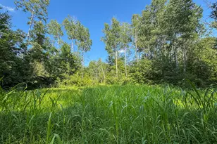 1609 S Sage Lake Rd, Hale, MI 48739 - Photo 74