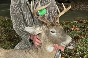 1609 S Sage Lake Rd, Hale, MI 48739 - Photo 134