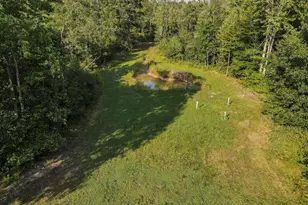 1609 S Sage Lake Rd, Hale, MI 48739 - Photo 64