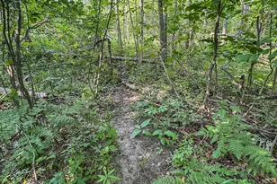 1609 S Sage Lake Rd, Hale, MI 48739 - Photo 68