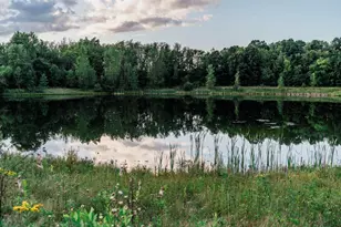 2968 Sheridan Cir, Jackson, MI 49201 - Photo 14