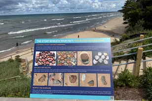 2339 Forest Trail Cir, Fennville, MI 49408 - Photo 52