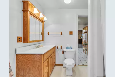 217 Marshall Street, Brooklyn, MI 49230 - Photo 30