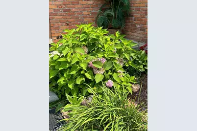 5470 Cheltenham Drive, Troy, MI 48098 - Photo 8