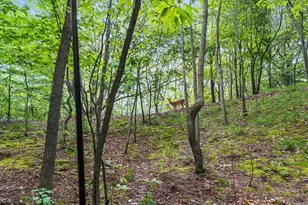 18716 Sioux Dr, Spring Lake, MI 49456 - Photo 64