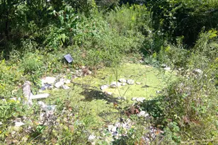 6660 B Dr N, Battle Creek, MI 49014 - Photo 42