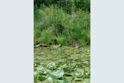 14807 Huyck Lake Lane, Marcellus, MI 49067 - Photo 72