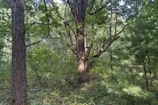 14308 W Church Road Rd, Howard City, MI 49329 - Photo 30