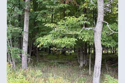Flarity Road, Brethren, MI 49619 - Photo 14