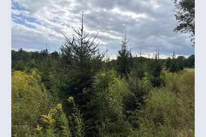 Flarity Road, Brethren, MI 49619 - Photo 8