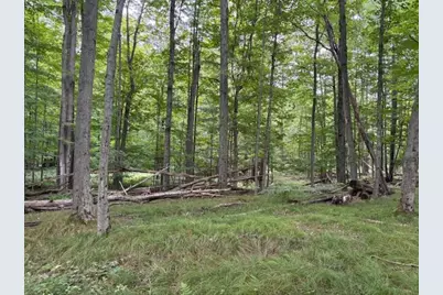 Flarity Road, Brethren, MI 49619 - Photo 2